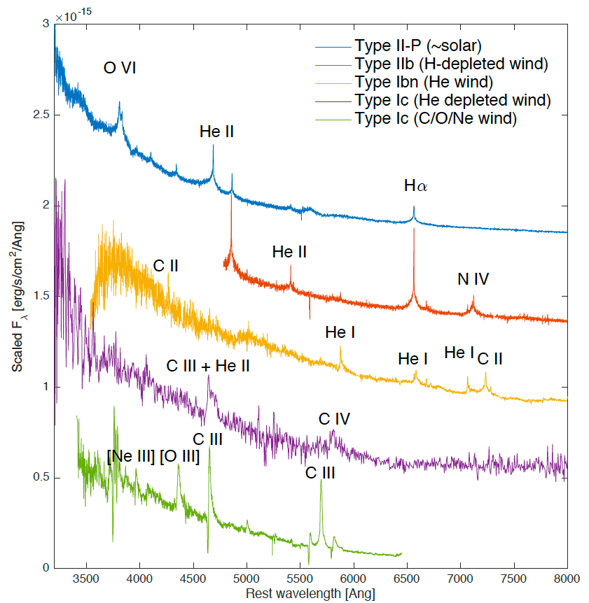 Infant SN flash spectra