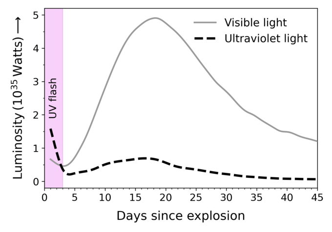 Evolution of the ultraviolet and visible light emitted from SN2019yvq